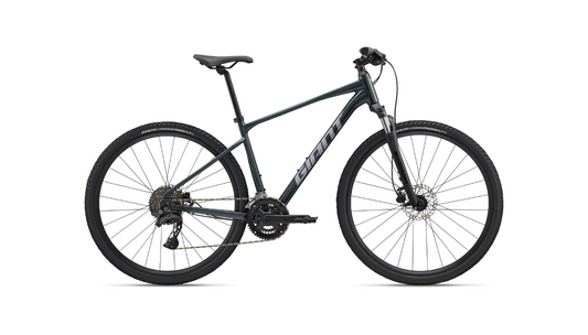 Giant Roam Disc 2 (2025)