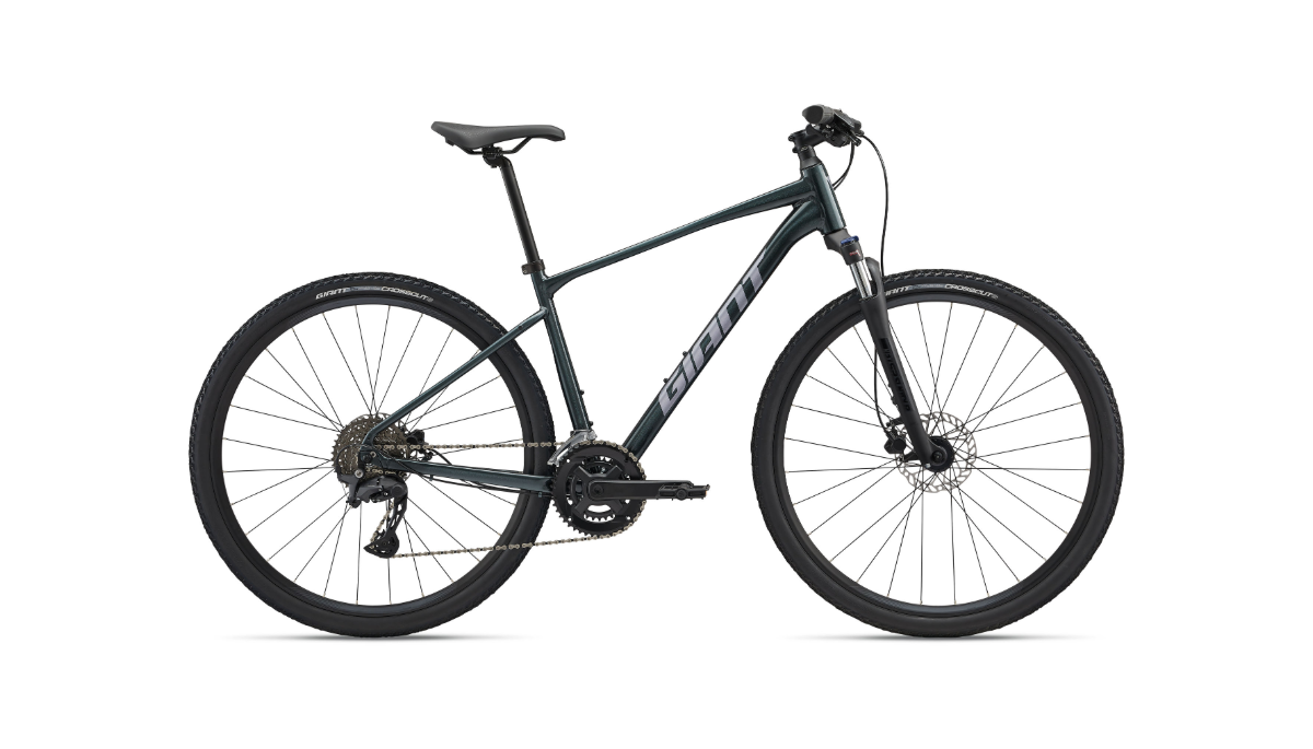 Giant Roam Disc 2 (2025)