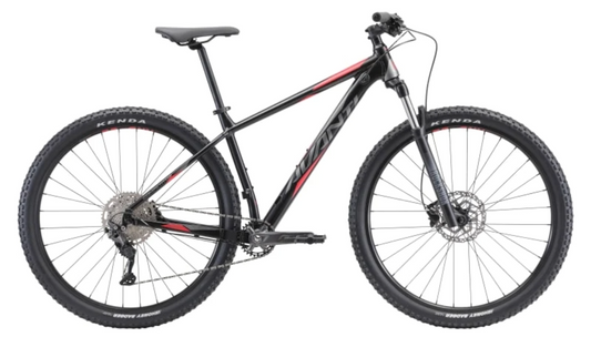 Avanti Competitor 1 29" Mens MTB