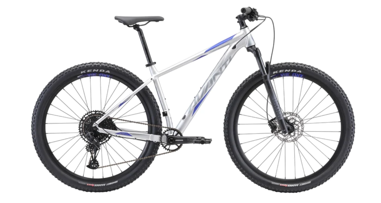 Avanti Competitor 2 29" Mens MTB