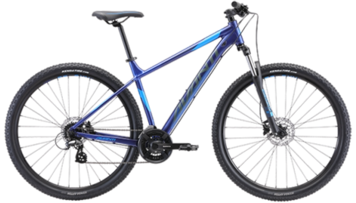 Avanti MONTARI 1 29" Mens MTB