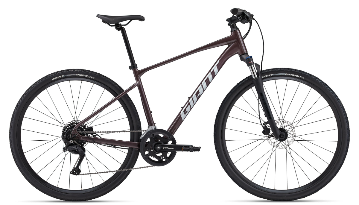 Giant Roam Disc 2 (2024)