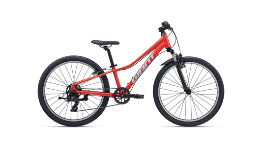 Giant Talon 24 (2026)