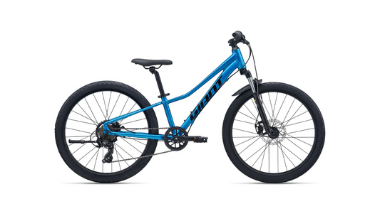 Giant Talon 24 Disc (2026)